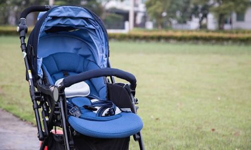 Top Things to Consider When Buying A Baby Stroller