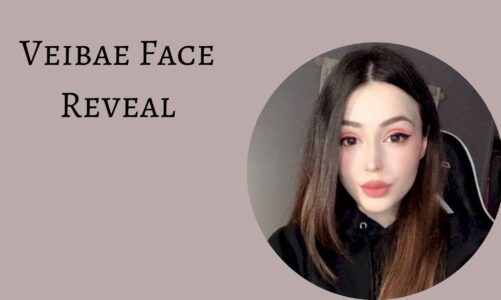 Veibae Face Reveal, Wikipedia, Biography And Real Name