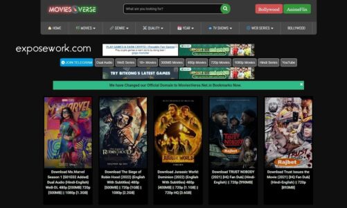 Themoviesverse.co – Working Links, Alternatives, Is It Free, And How To Download Movies And Shows In HD
