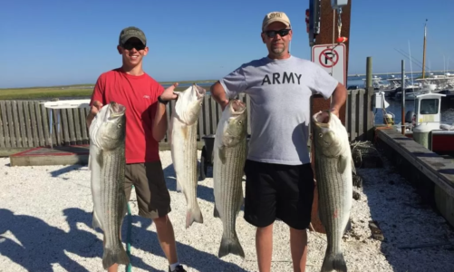 Chatham Fishing Charters – Important Things to Know