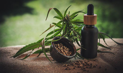 The 5 Perfect Gifts for CBD Lovers
