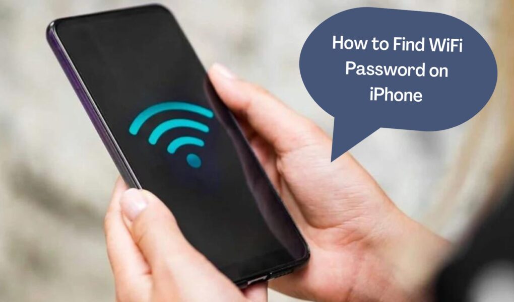 how to find wifi password on iphone