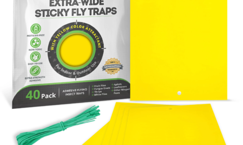 What are Sticky Window Fly Traps and their Benefits?