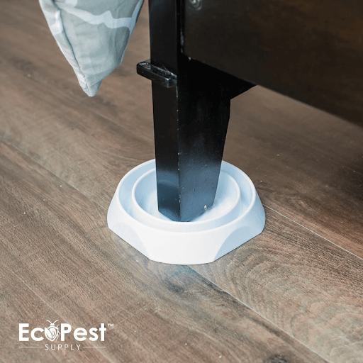 Choosing the Best Bed Bug Monitor Traps: Factors to Consider