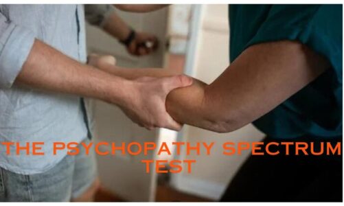 Demystifying the Psychopathy Spectrum Test: A Comprehensive Guide